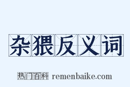杂猥反义词是什么意思的图片